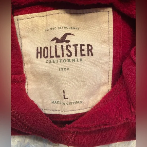 Hollister: HCO Hoodie - Picture 14 of 16
